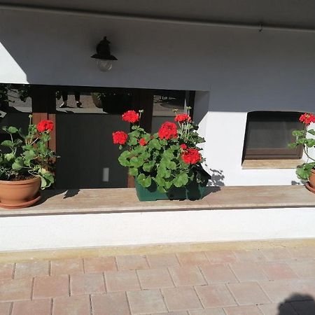 Ana Boutique Bed & Breakfast Alba Iulia Bagian luar foto